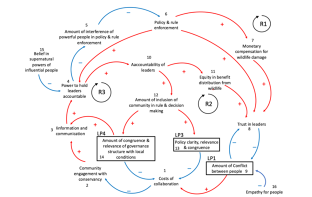 Causal loop diagram showing human-wildlife system complexity